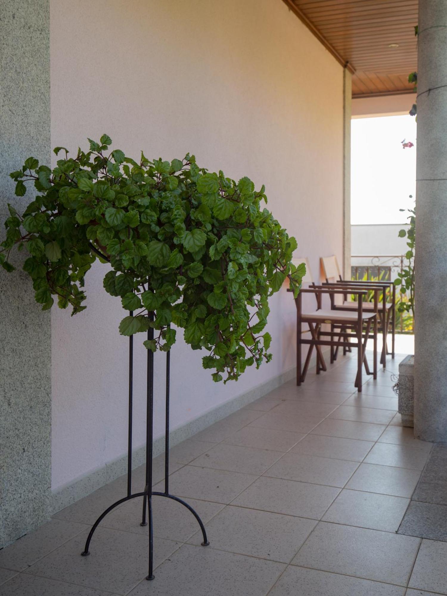 Suite Em Viana Do Castelo Exterior foto